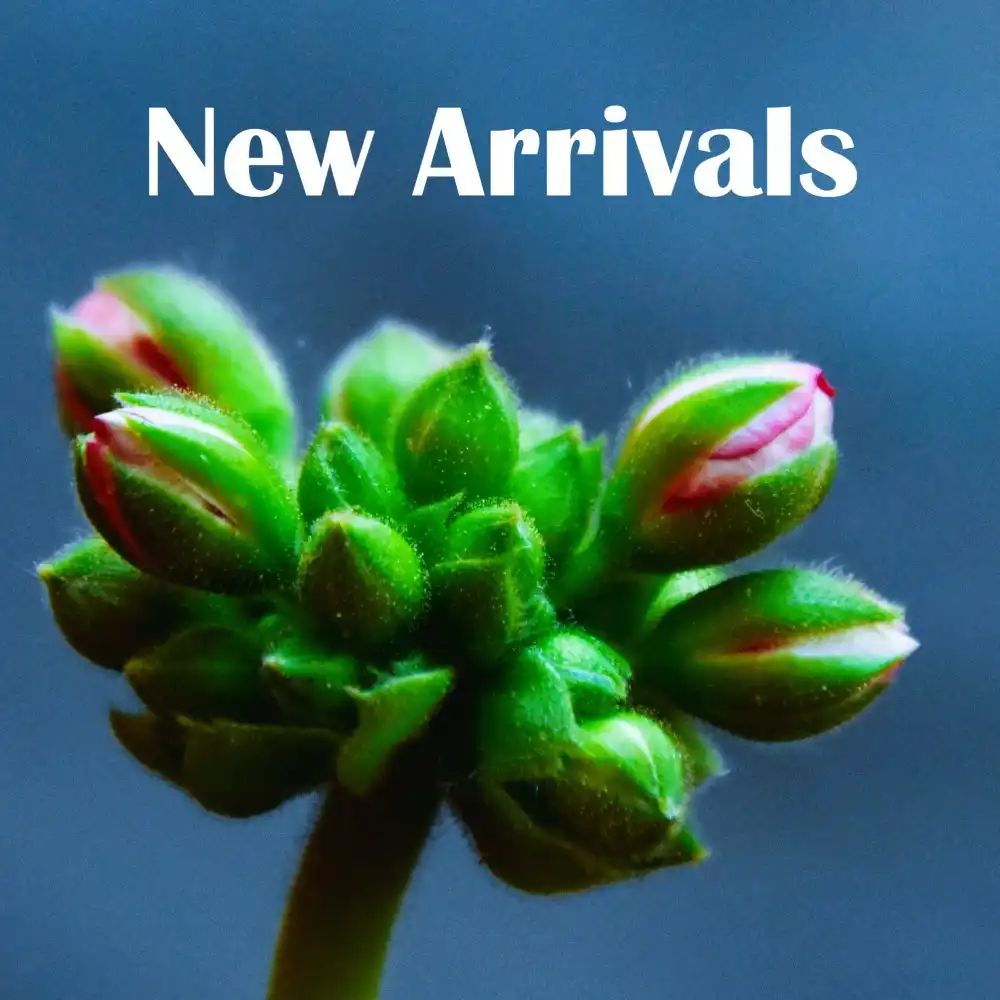 New Arrivals Desert Shade Nursery